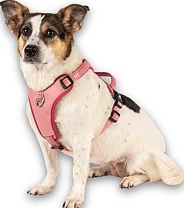 Ham pentru caini Max & Molly Matrix 2.0 Rose М