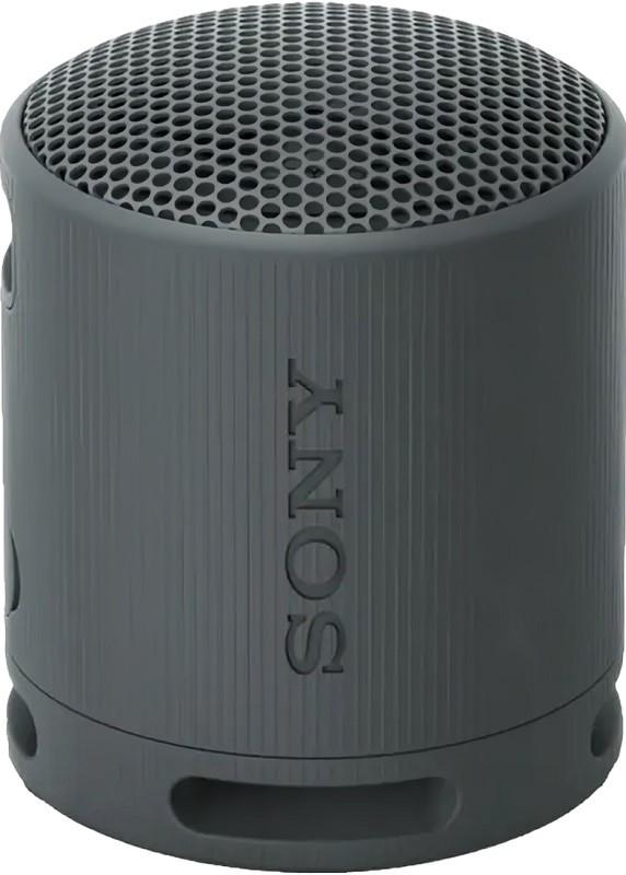 Boxa portabila Sony XB100 Black (SRSXB100B.CE7)