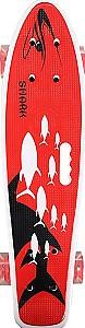 Skateboard Intex 2206
