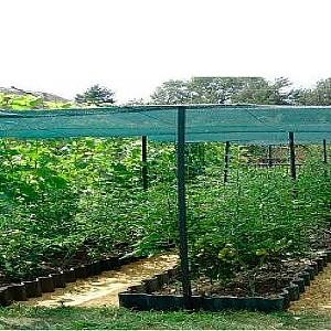 Plasa de umbrire Ekspand 62 2x25 m