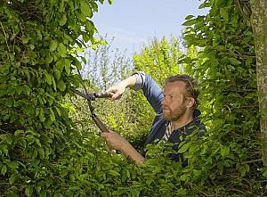 Foarfece de gradina Gardena NatureCut