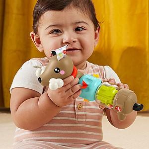 Jucarie interactiva Fisher  price Taxă(HTW91)