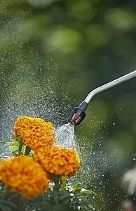 Stropitoare pulverizator Gardena Comfort 5 l