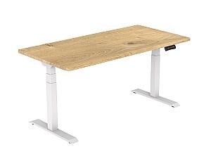 Masa de birou Flexispot EG1 ET223 (160x80) White/Oak