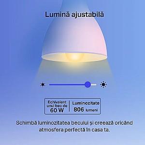 Iluminare inteligenta Tp-Link 1 pcs Tapo L530E