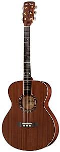 Chitara acustica Harley Benton Blues Guitar Set