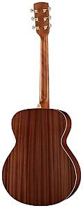 Chitara acustica Harley Benton Blues Guitar Set
