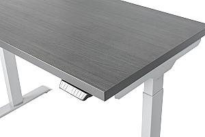 Masa de birou CUSTÓ FlexiDesk Gri/Antracit (Gri) 120x70 cm
