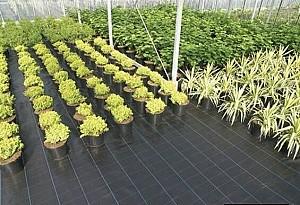 Peliculă pentru sere Greentech Agrotextil 90gsm (0.5x200m)