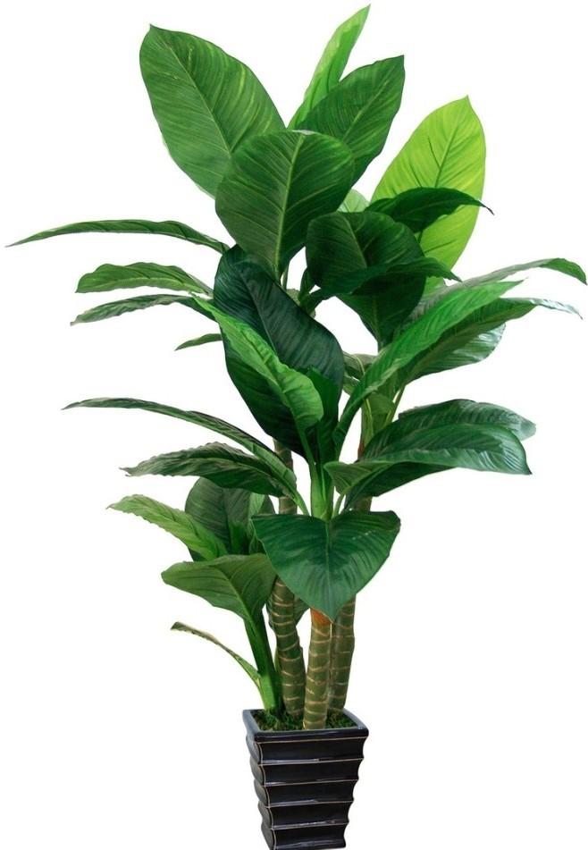 Flori artificiale OEM/ODM Dieffenbachia Green