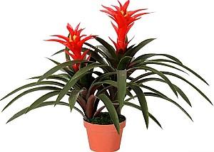 Flori artificiale OEM/ODM Guimania 60cm Green/Red