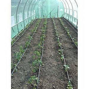 Seră de tip tunel Tehno Ms 6x3x2m