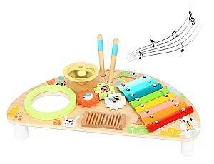 Jucarie muzicala Tooky Toy TKC354A