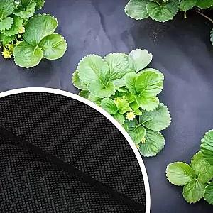 Peliculă pentru sere Profmet Agrotextil anti buruienilor 50g/m2 2mx50m Black