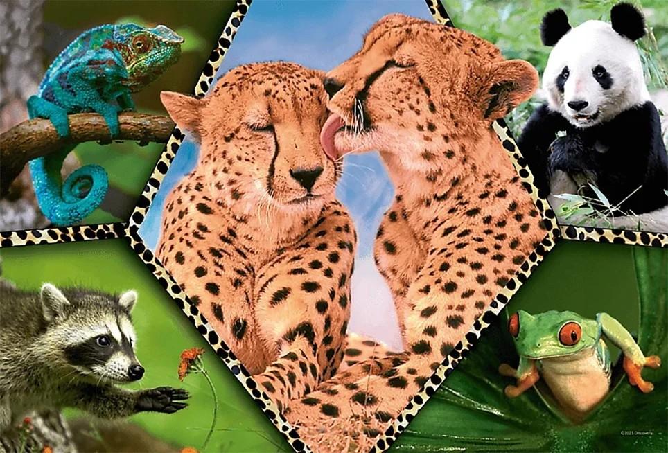 Puzzle Trefl 16424