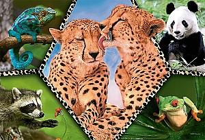 Puzzle Trefl 16424