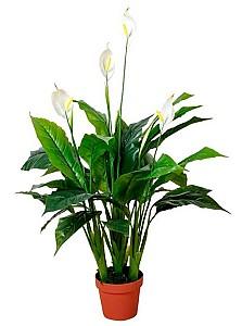 Flori artificiale OEM/ODM Spathiphyllum Patinii 100cm (Green/White)