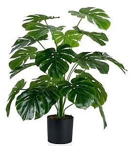 Flori artificiale Cilgin G333 Monstera 60cm
