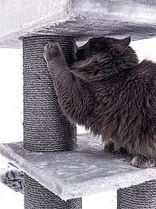 Ansamblu pentru pisici PETREBELS Lucky Bastards Parklane 175 Grey