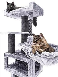 Ansamblu pentru pisici PETREBELS Lucky Bastards Parklane 175 Grey