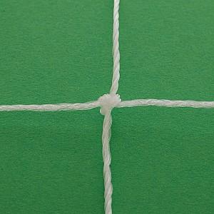 Plasa ArenaSport 7.32X2.44x1.5m 88281
