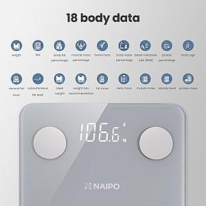 Cantar electronic Naipo NP-BS01