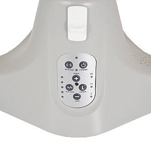 Leagan Moni Ari Bear Grey