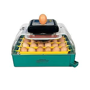 Incubator Demetra EU PROFI C-24