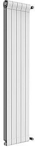 Radiator Radiatori2000 OTTIMO Plus 2000mm white(1 sectie)