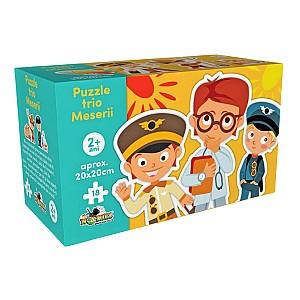Puzzle Noriel Meserii