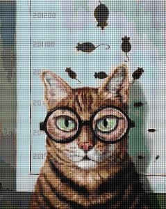 Pictura cu diamante BrushMe Testul de vedere al pisicuței, Lucia Heffernan 40*50 сm (fără cutie)