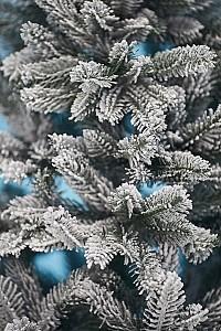 Brad artificial DIVI TREES Siberia 1