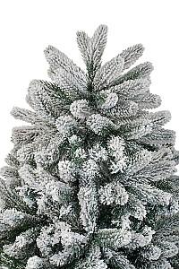 Brad artificial DIVI TREES Mont Blanc 2.1 m