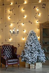 Brad artificial DIVI TREES Mont Blanc 2.1 m