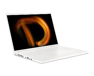 Laptop ACER ConceptD 3 Pro The (NX.C6VEU.005)
