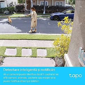 Camera de supraveghere video Tp-Link TAPO C420S1