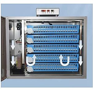 Incubator Demetra DM-192
