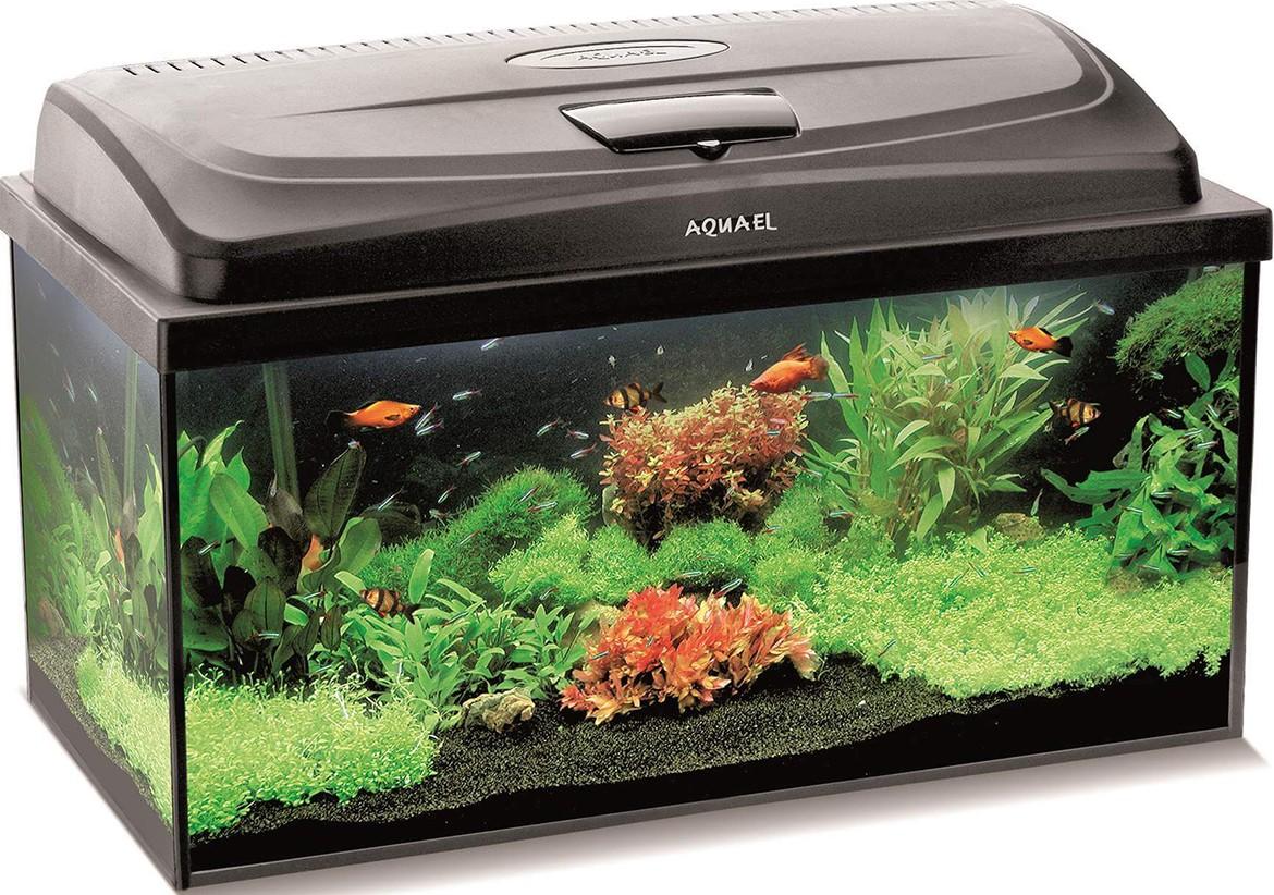 Acvariu Aquael AQUA4FAMILY 80 negru