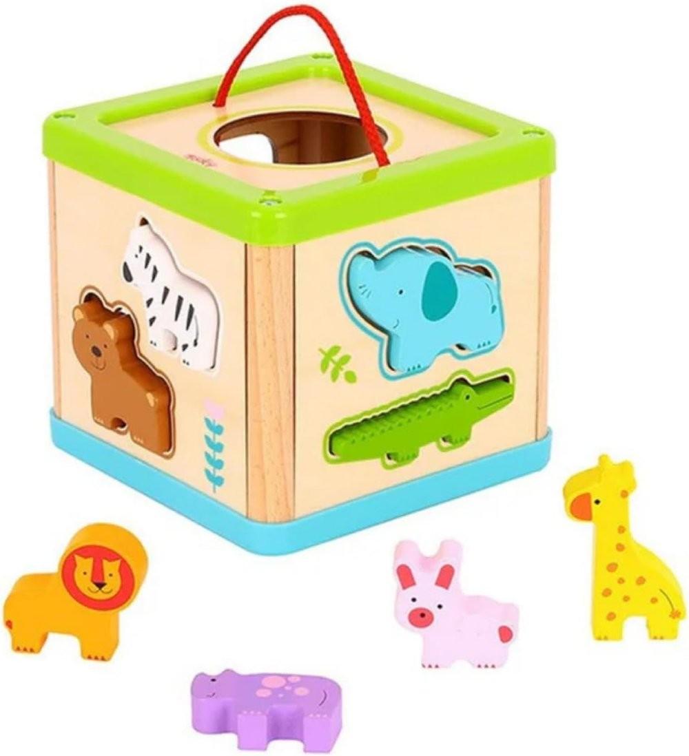 Sortator Tooky Toy TL642