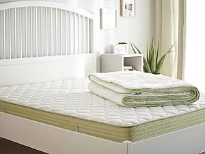Plapuma Dormeo Aloe Vera 140x200