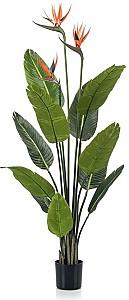 Flori artificiale Emerald Strelitzia (Pasarea Paradisului) 079066