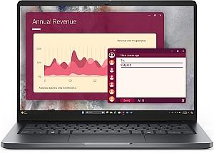 Laptop DELL Pro 14 Platinum silver (1018704174)
