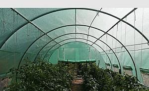 Peliculă pentru sere Tehno Ms 8x3x2m