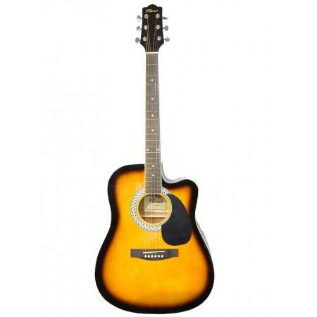 Chitara electro-acustica Flame  DG 100 CT TS