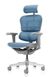 Fotoliu de birou Comfort Ergohuman Ultra Cobalt T-168-B4 EHU-AG-HAM-4D