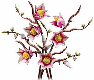 Constructor LEGO Botanicals: Magnolia Branches (11510)