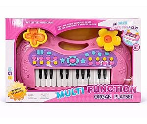 Jucarie muzicala New World HK-6013A