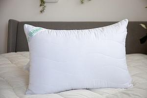 Perna Relaxe Home Aloe Vera 50x70