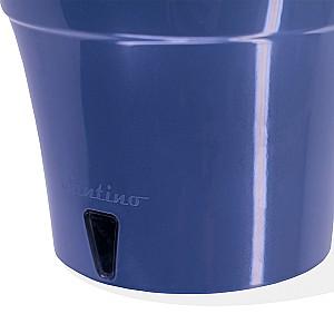  Santino Dali 5l