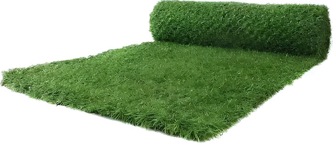 Plasa decorativa gard Profmet 391050 (1.0x10m) Green
